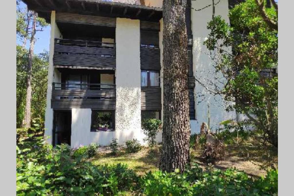 Appt Seignosse Le Penon - Plages Commerces A Pied Exterior foto